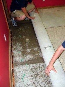 Sewer-damage-cleanup