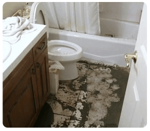 sewage-cleanup-tampa