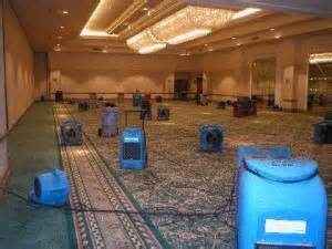 water damage equipment on carpet - elite property